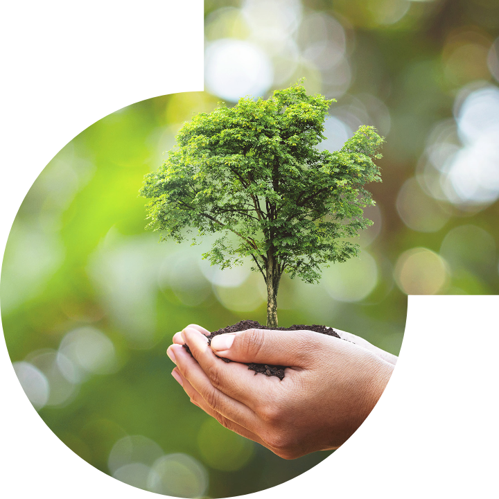 關懷人類、文化、環境與社會